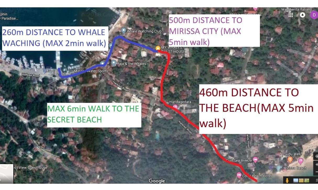 Banduramulla My Whales Guest House מראה חיצוני תמונה